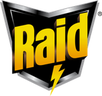 Raid